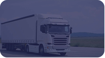 Soluciones integrales de seguridad privada con enfoque en prevención y gestión de riesgos empresariales